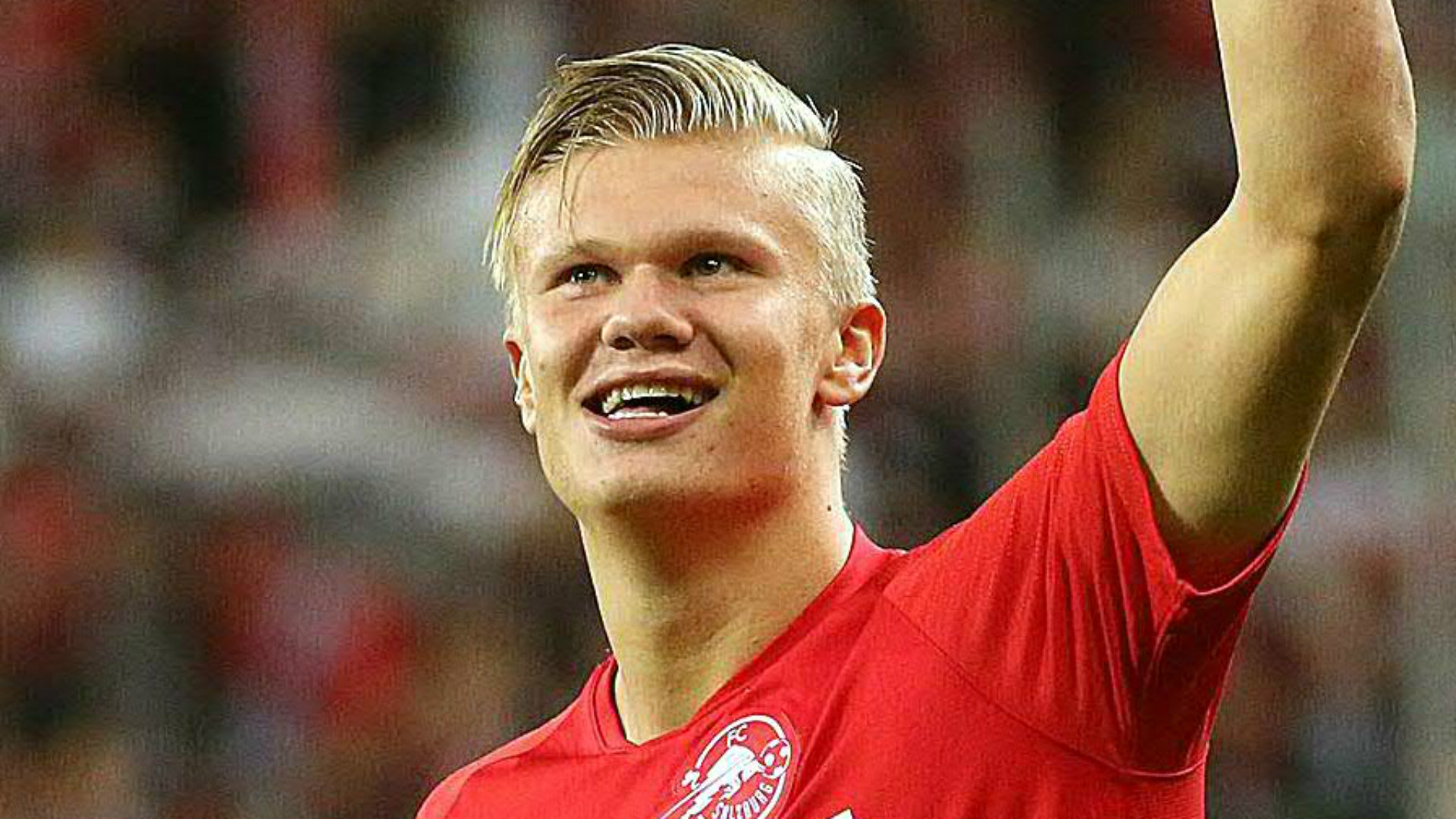 西班牙人举办“鹦鹉不离弃”活动，用待领养狗狗组成特殊阵容（西班牙人发起“鹦鹉不离弃”公益活动，用待领养犬组建独特阵容）